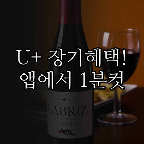 LG 유플러스 장기고객 전용 혜택 리..