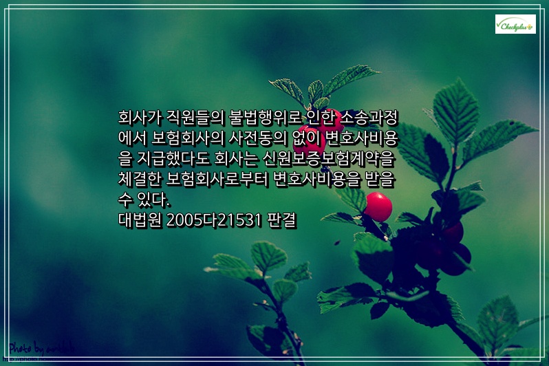 변호사 비용은 ‘방어비용’에 해당, 보험사의 사전동의 없더라도 지급의무 있다.