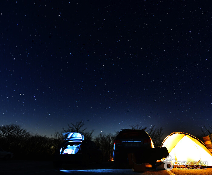 영천 가볼만한곳 베스트 10