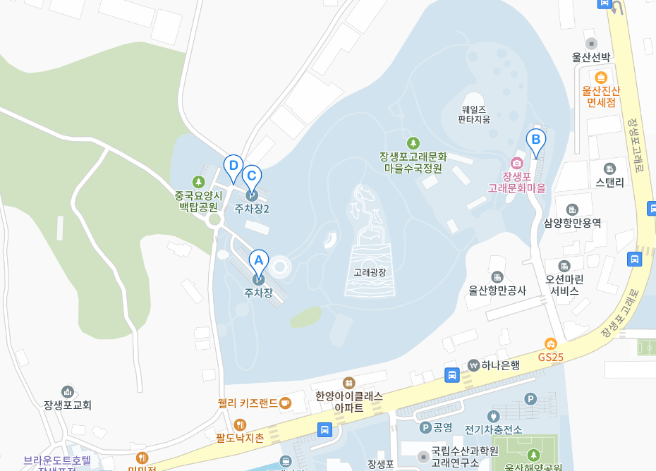 2024 울산 장생포 수국축제 입장료 불꽃쇼 주차장 가는길