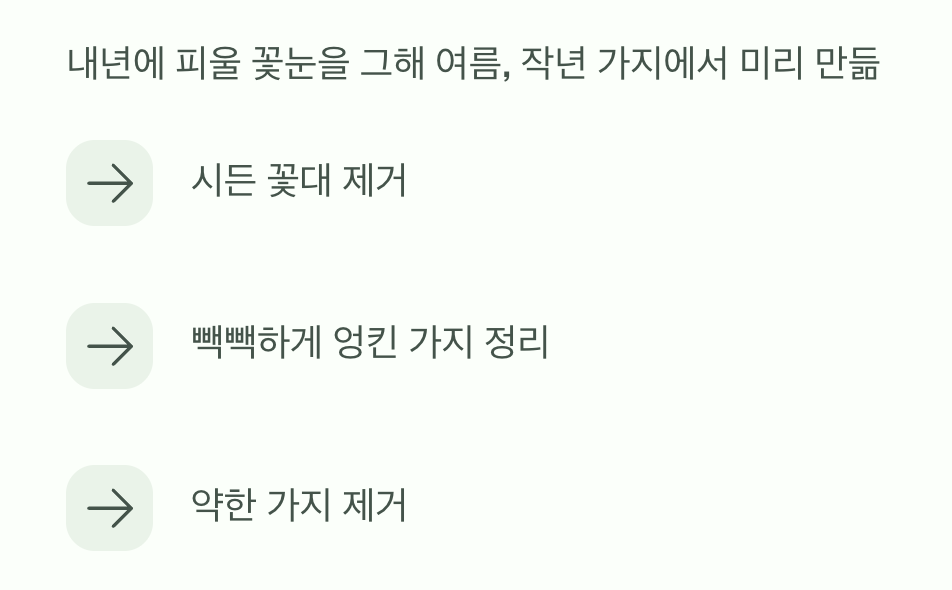 풍성한 꽃을 위한 과감한 가위질 (가지치기)