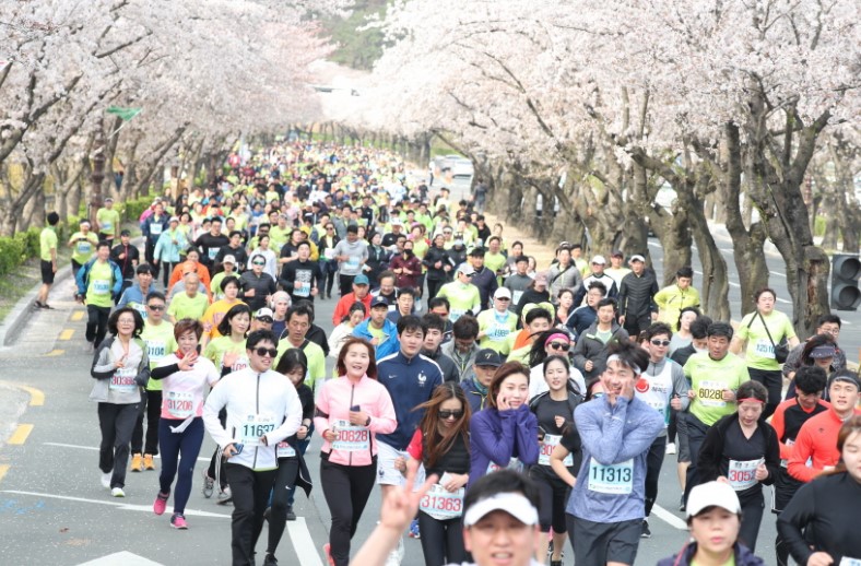 경주 벚꽃 마라톤 대회