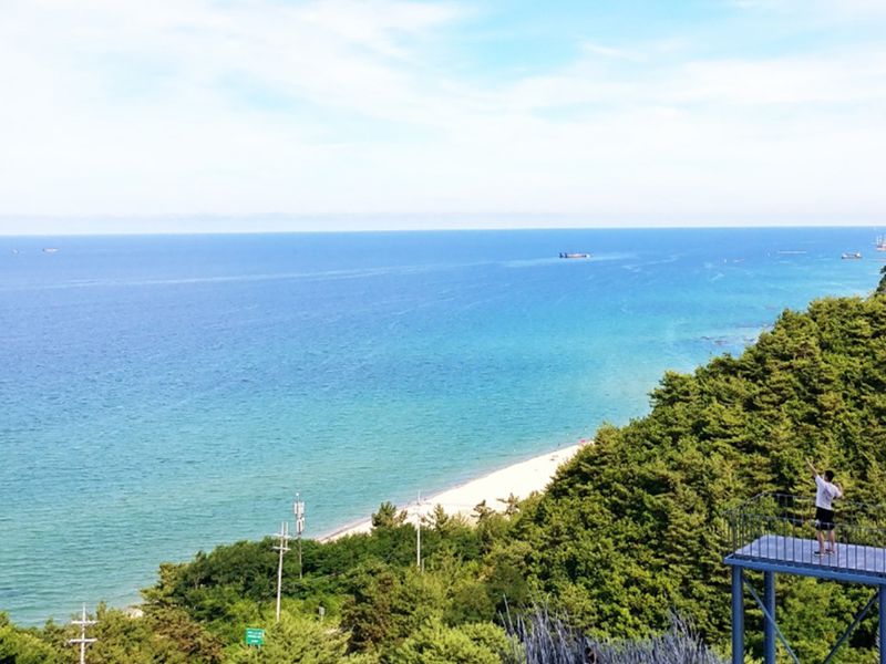 하슬라아트월드