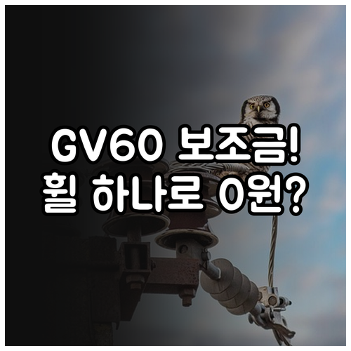 2026년 GV60 전기차 보조금 산..