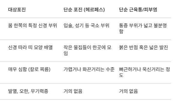 대상포진 증상