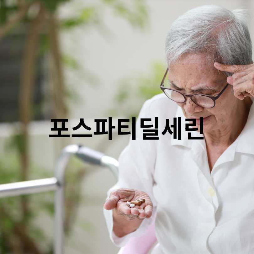 치매 예방 영양제 완전 가이드