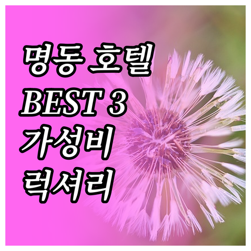 명동 호텔 추천 BEST 3! 가성비..