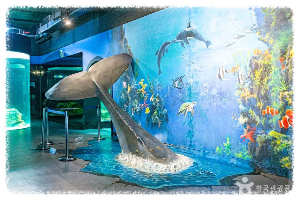 울진아쿠아리움