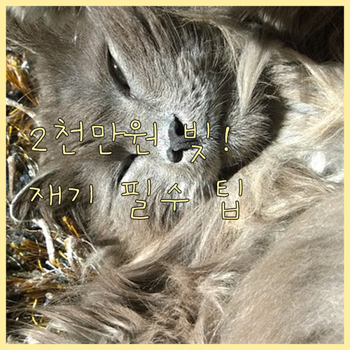 서민 소상공인 연체 채무 2천만 원 ..