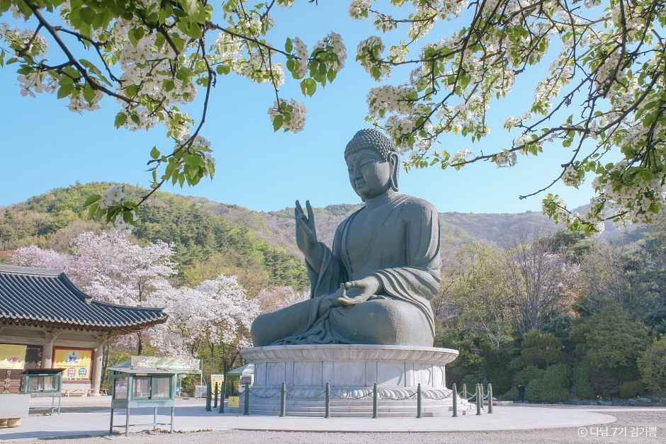 천안 가볼만한곳 베스트10