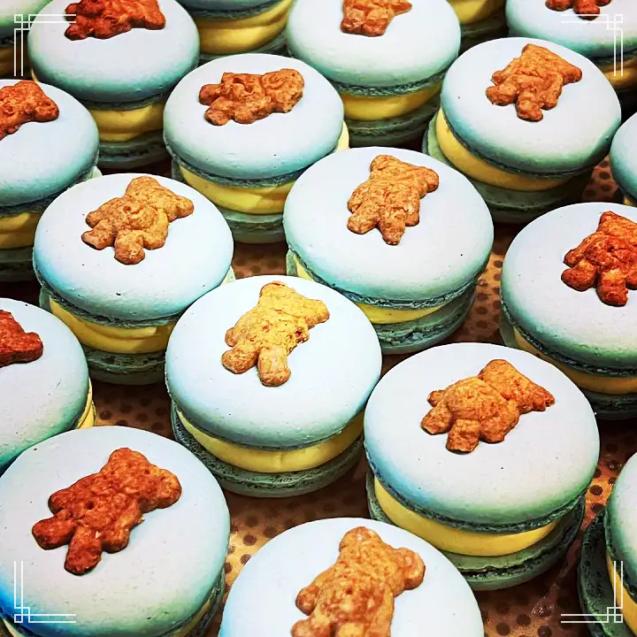 진심 가득 건강 담은 맛 남산 명동 맛집 추천 생방송투데이 커피 티라미수 마카롱 치즈케이크 디저트 오늘방송 떴다 동네방네