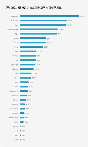 개발자 프리랜서