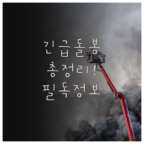 2025 긴급돌봄 서비스: 지원대상,..