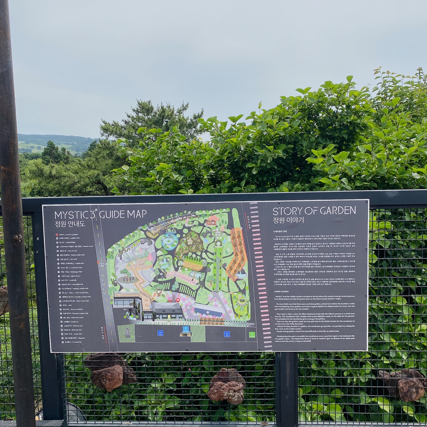 제주 노형동 러브랜드 정원카페 미스틱3도 피크닉 한라봉 흑돼지