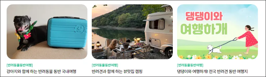 반려동물-동반여행-추천