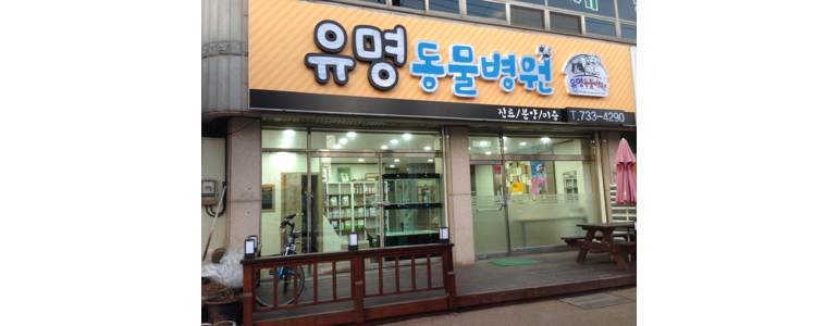 논산시 동물병원