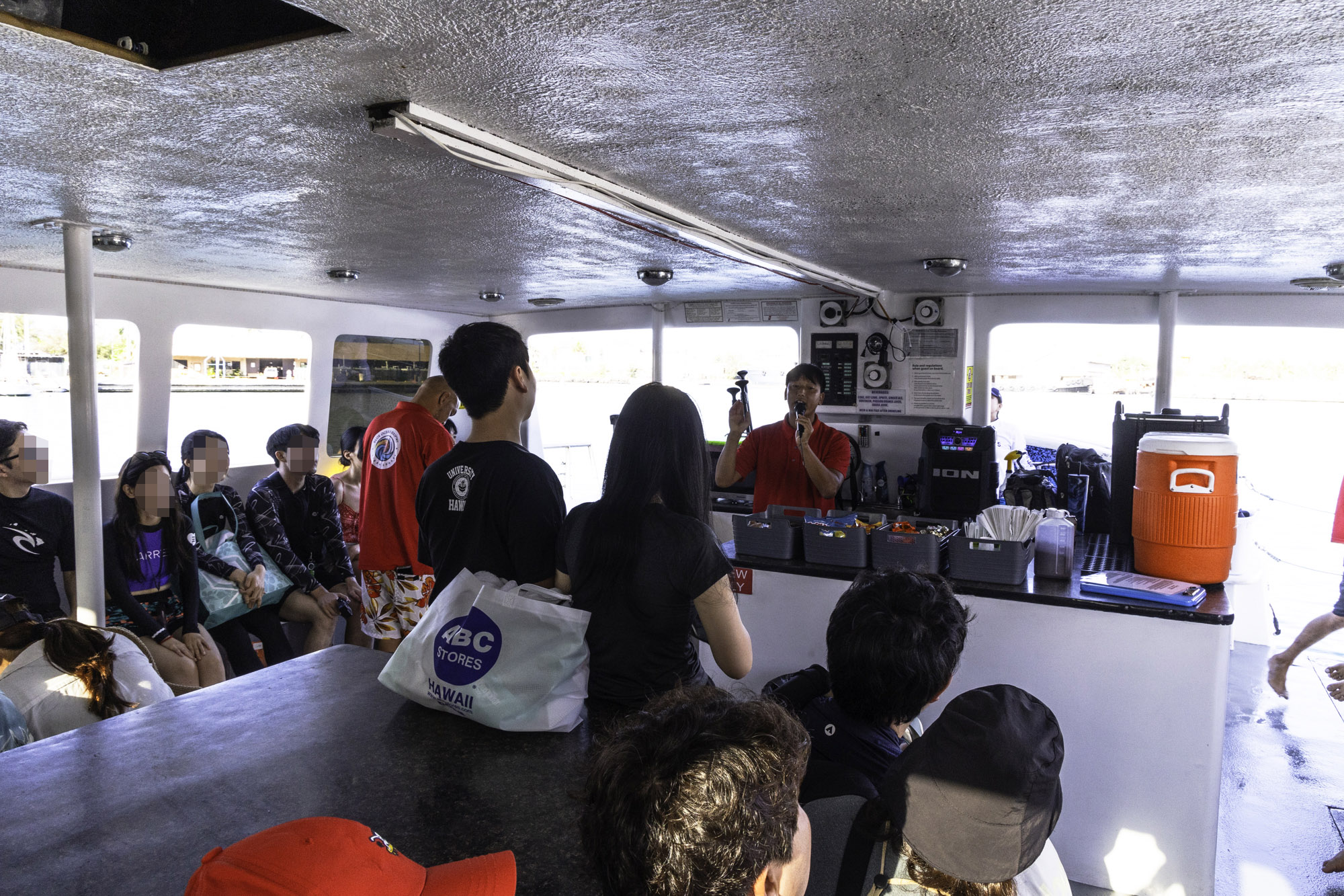 하와이 거북이 스노쿨링