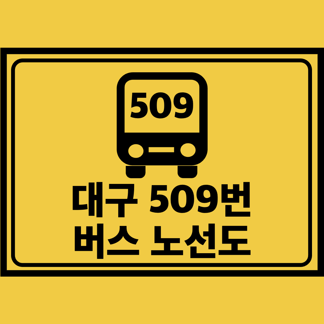 대구509번버스노선도