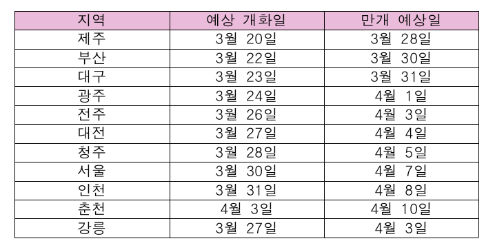 전국 벚꽃 개화 시기