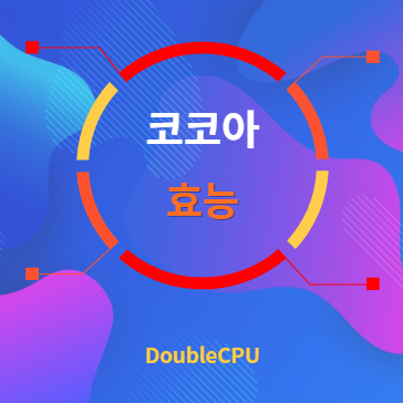 코코아 효능 탐구