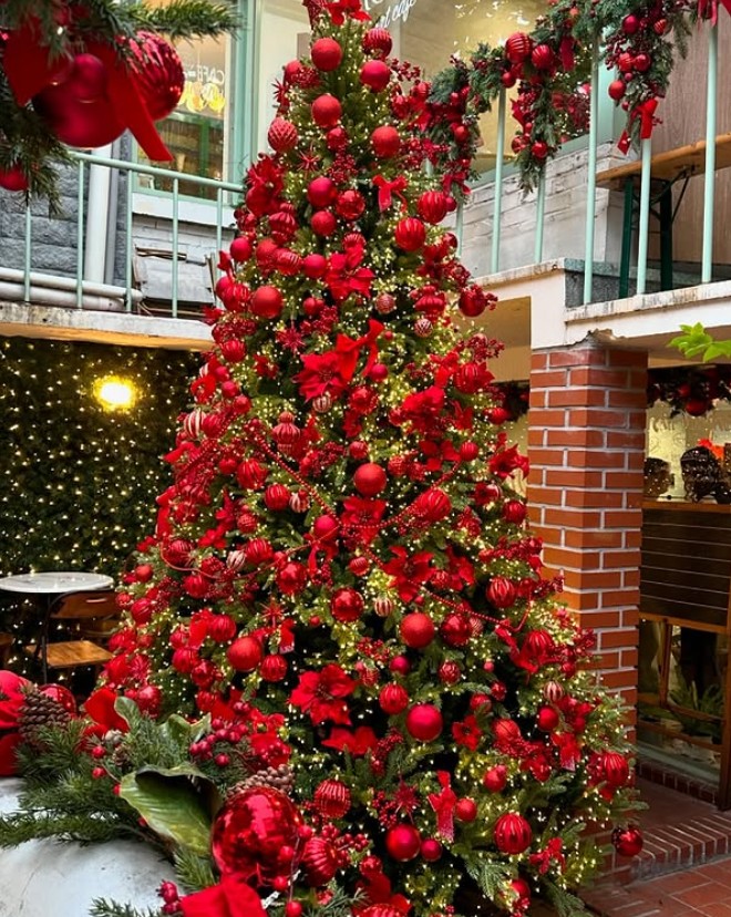 크리스마스 분위기 좋은 예쁜 카페 Best 5