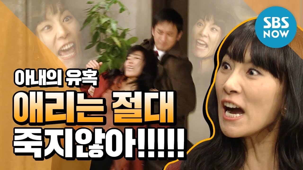 아내의 유혹 등장인물 줄거리 다시보기 넷플릭스 회차정보