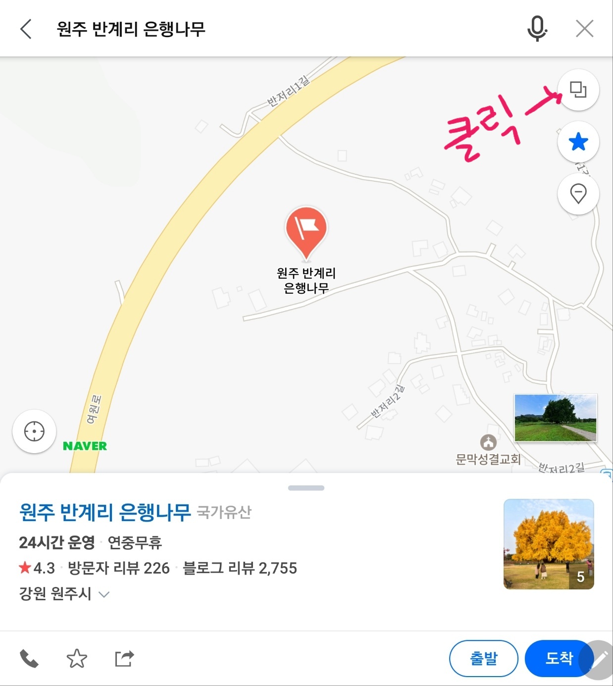 네이버지도 원주 반계리 은행나무 위치 이미지