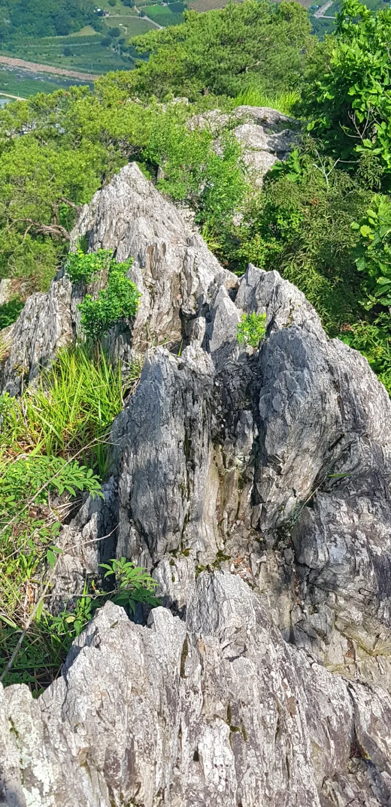 청도 복호산