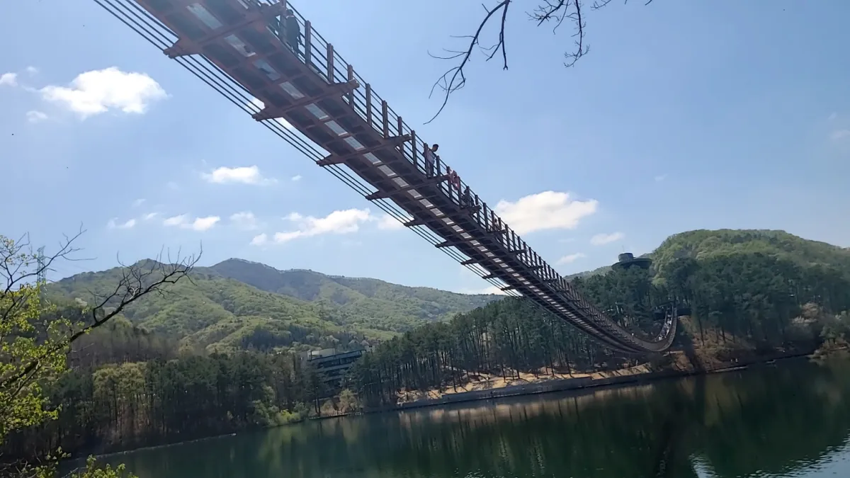 밑에서올려다본-마장호수-출렁다리의모습