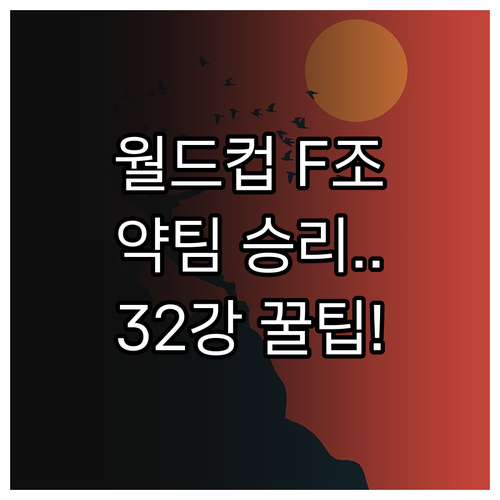 48개국 월드컵 F조 32강 진출 조..