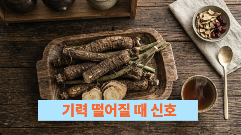 오가피효능 한방재료