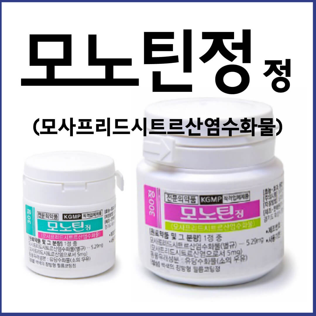 모노틴정