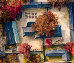 창덕궁후원 단풍