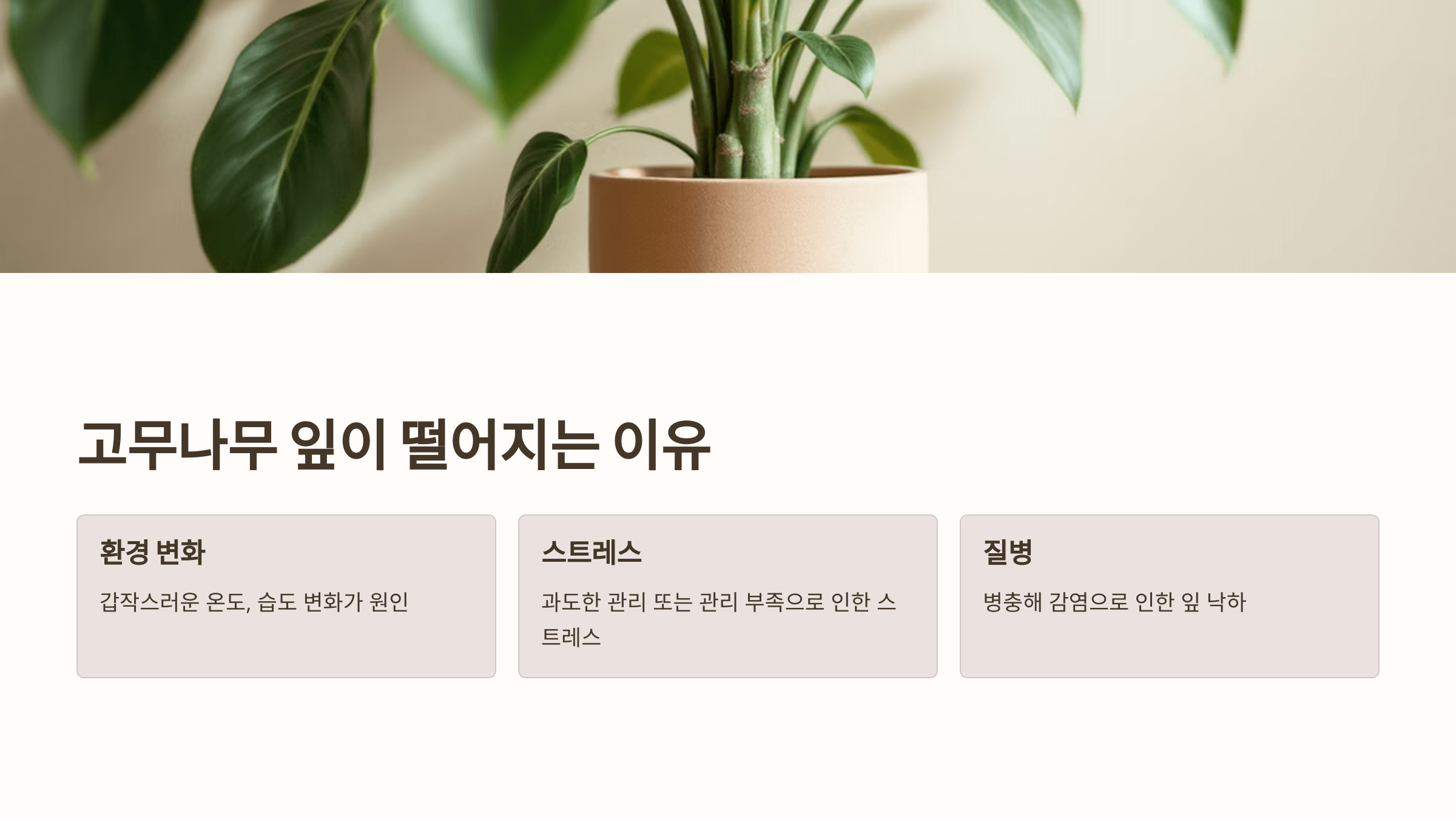 고무나무와 관련된 사진입니다.