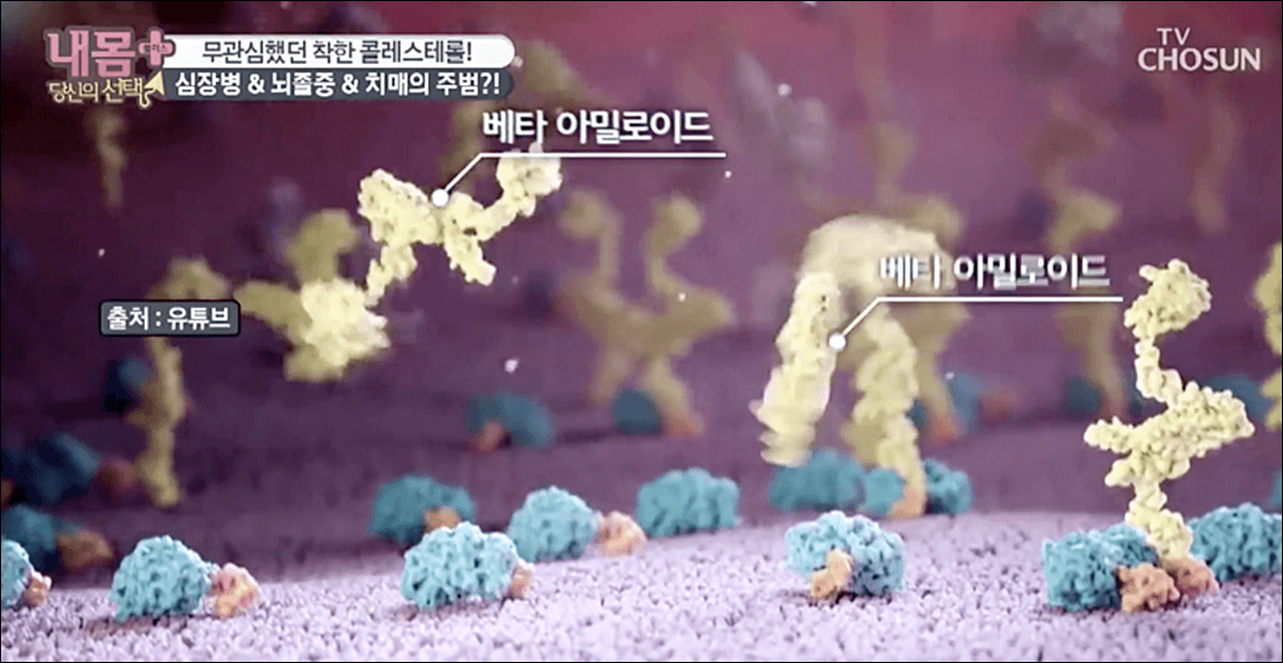 폴리코사놀 효능 부작용 총정리