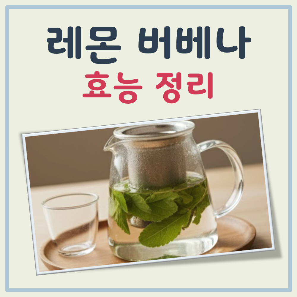 레몬 버베나 효능 대표 이미지