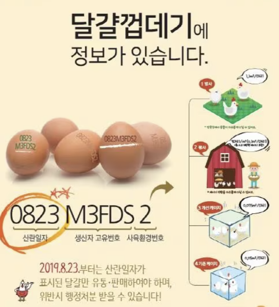 부활절 대표기도문 2025년 4월 – 주일 예배 및 절기 기도문 예시