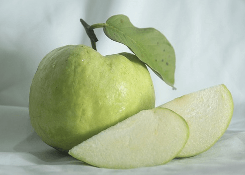 초록색 공처럼 생긴 커다란 구아바와 구아바 조각 2개가 있다.