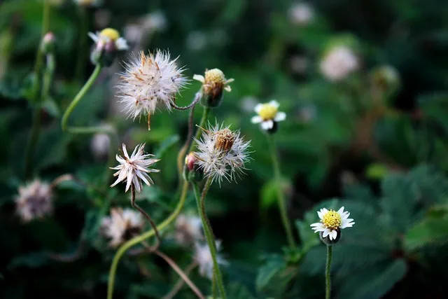 상속세율 계산 방법과 상속세율표로 알아보는 절세 팁_9