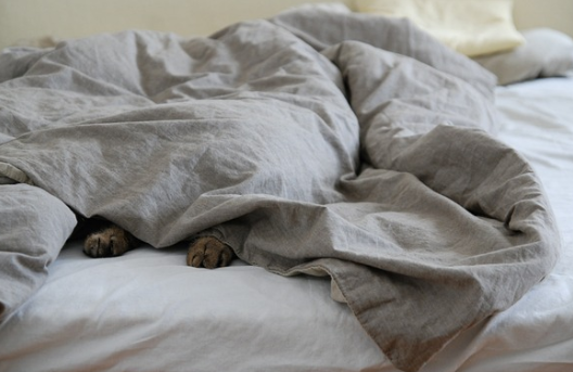 수면 부족이 불러오는 몸과 마음의 변화: 건강을 지키는 '슬립 디톡스'의 필요성