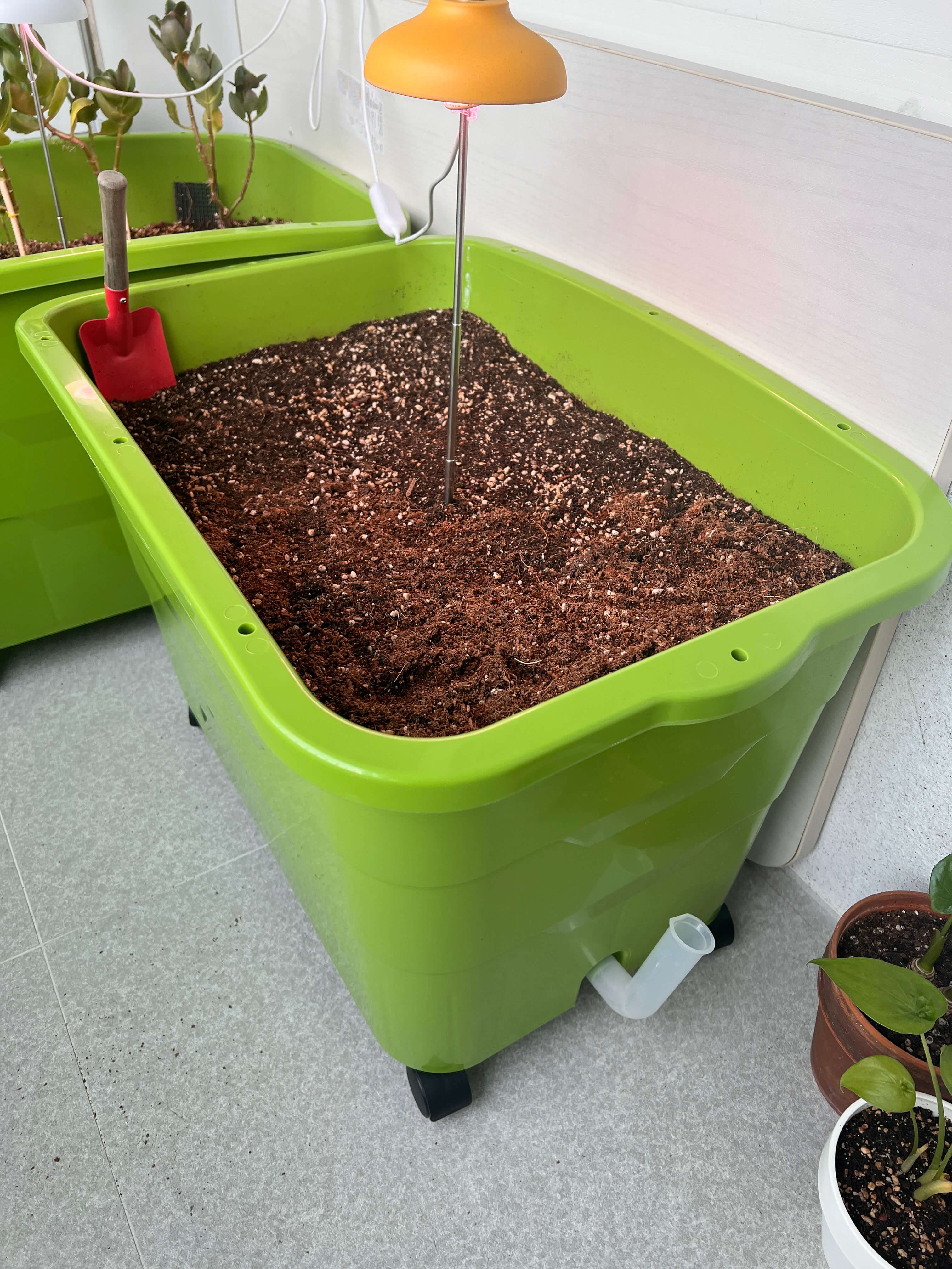 지렁이가 살고 있는 상자텃밭