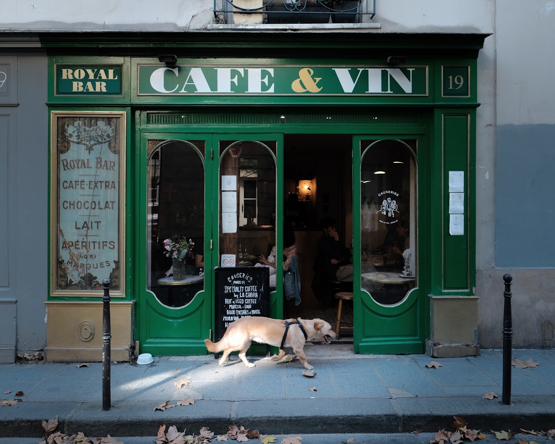 Dog café