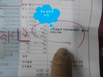 자동차 검사기간 조회 방법 벌금 피하기_20