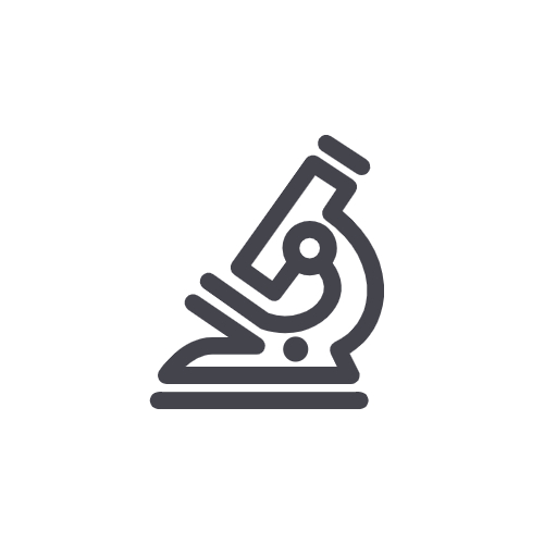 포스코홀딩스 주가 전망 및 배당금 지급일