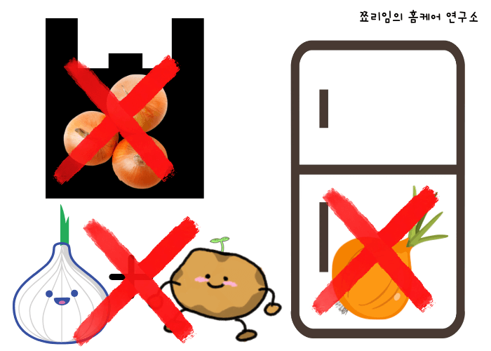 양파 보관 올바르지 않는 방법