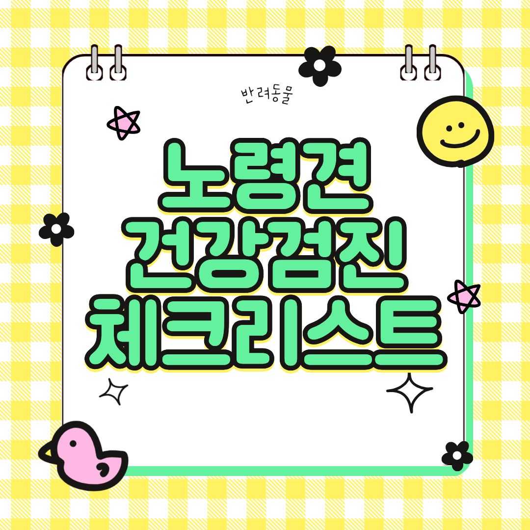 노령견 건강검진 꼭 받아야 하나요? 체크리스트 정리