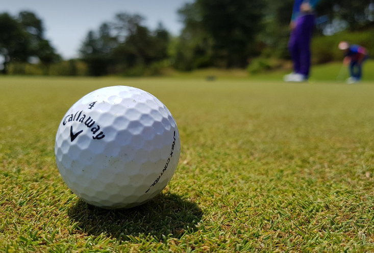 골프장 골프공