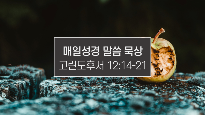 썸네일-썩은-사과