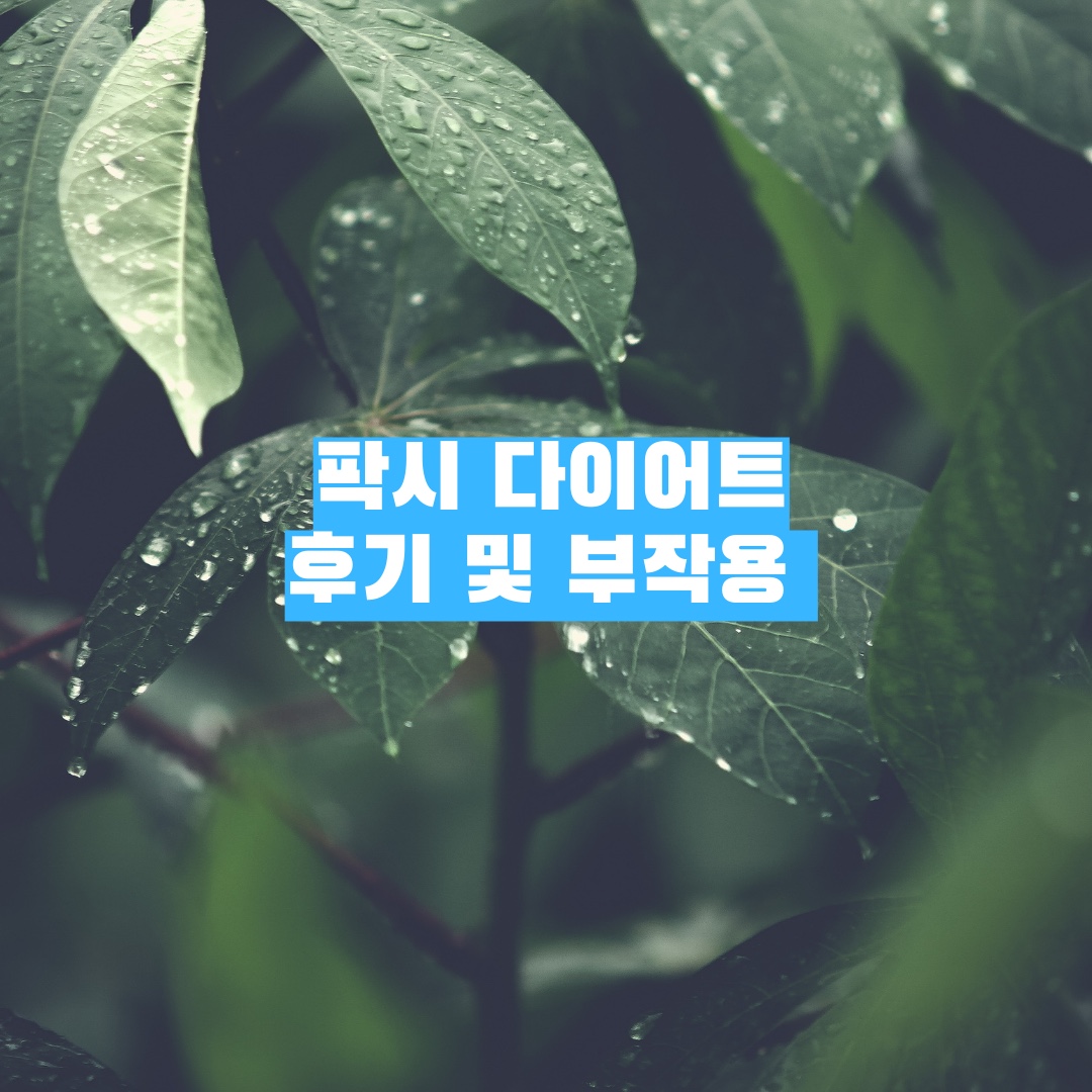 팍시 다이어트 내돈내산 후기와 부작용