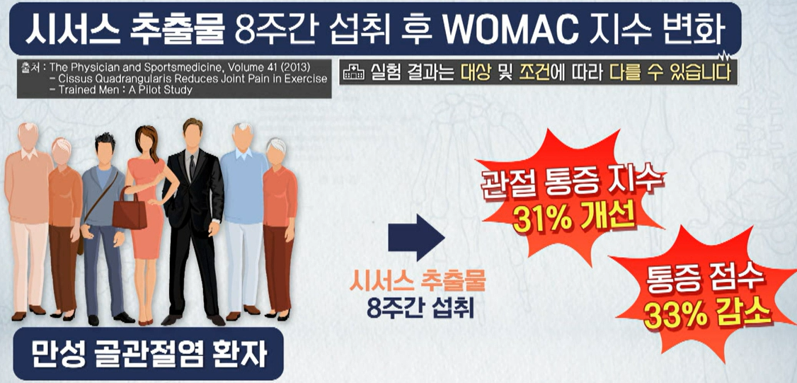 시서스 효능